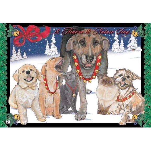 Mix Dog With Cat Holiday Boxed Cards