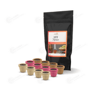 Mix Fragrance Sambrani Incense Cup Dhoop (12 Cups)