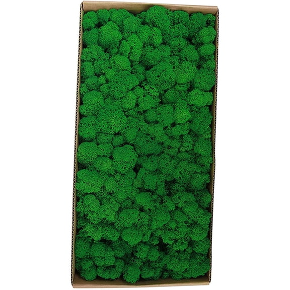 Mix Pack Preserved Moss Natural Green DIY Kit Gardenning Art Wall Decor Florist Decor - smaragdgrn