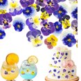 thumbnail image 1 of Mix Viola Tricolor,Pack of 48 Natural Dried Pressed Flowers,QZS Durable Real Dried Pressed Flowers for Jewelry Making,DIY Art Crafts, 1 of 5