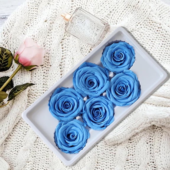 MixMart 6Pcs Forever Flower Preserved Roses Immortal Roses Gift for Mothers Day Valentines Day