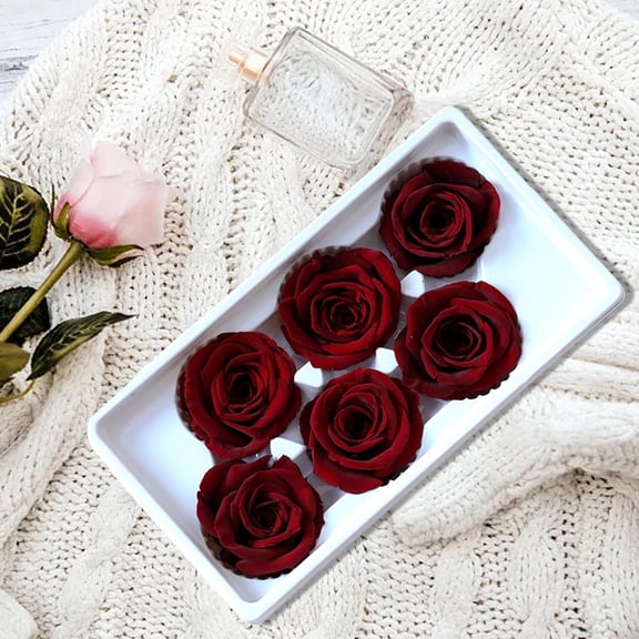 MixMart 6Pcs Forever Flower Preserved Roses Immortal Roses Gift for Mothers Day Valentines Day