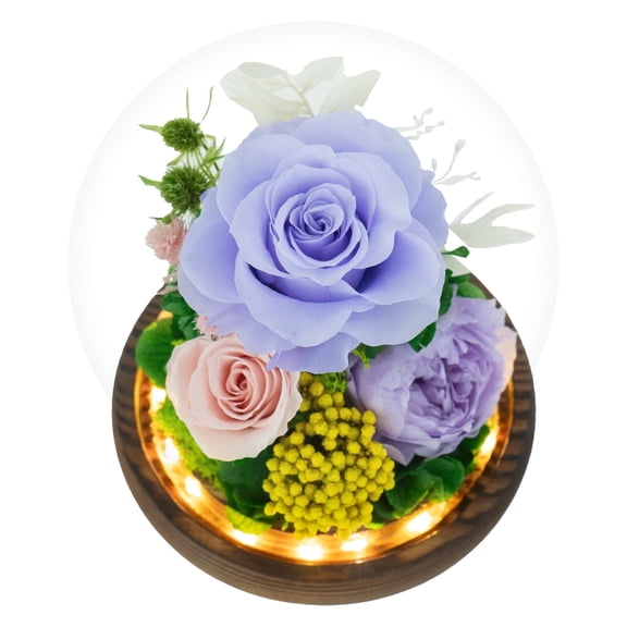 MixMart Preserved Flowers Rose in Glass Dome w/Light - Long Lasting Flowers, Flower Gifts for Women for Any Occasion - Home Decor, Comes w/Thick Gift Box - Forever Glass Rose Flowers - Blue
