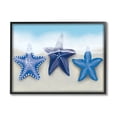 thumbnail image 1 of Mixed Blue Starfish Shoreline Animals & Insects Graphic Art Black Framed Art Print Wall Art, 1 of 7