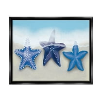Mixed Blue Starfish Shoreline Animals & Insects Graphic Art Jet Black Framed Art Print Wall Art