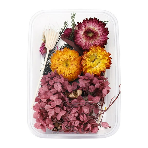 Mixed Colors Dried Flowers Real Natural Dried Pressed Flowers Dried Leaf Flowers for Resin DIY Arts Crafts Candles Resin Jewelry Nail Pendant Cards Scrapbooking Valentines Wedding Home Decoration