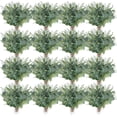 thumbnail image 1 of Mixed Eucalyptus Leaves Stems Bulk Silver Dollar Artificial Greenery Leaves Stems Fake Plant Branches for Wedding Bridal Bouquets, Floral Arrangements, Centerpiece, Home Decor(Green,400 Pcs), 1 of 7