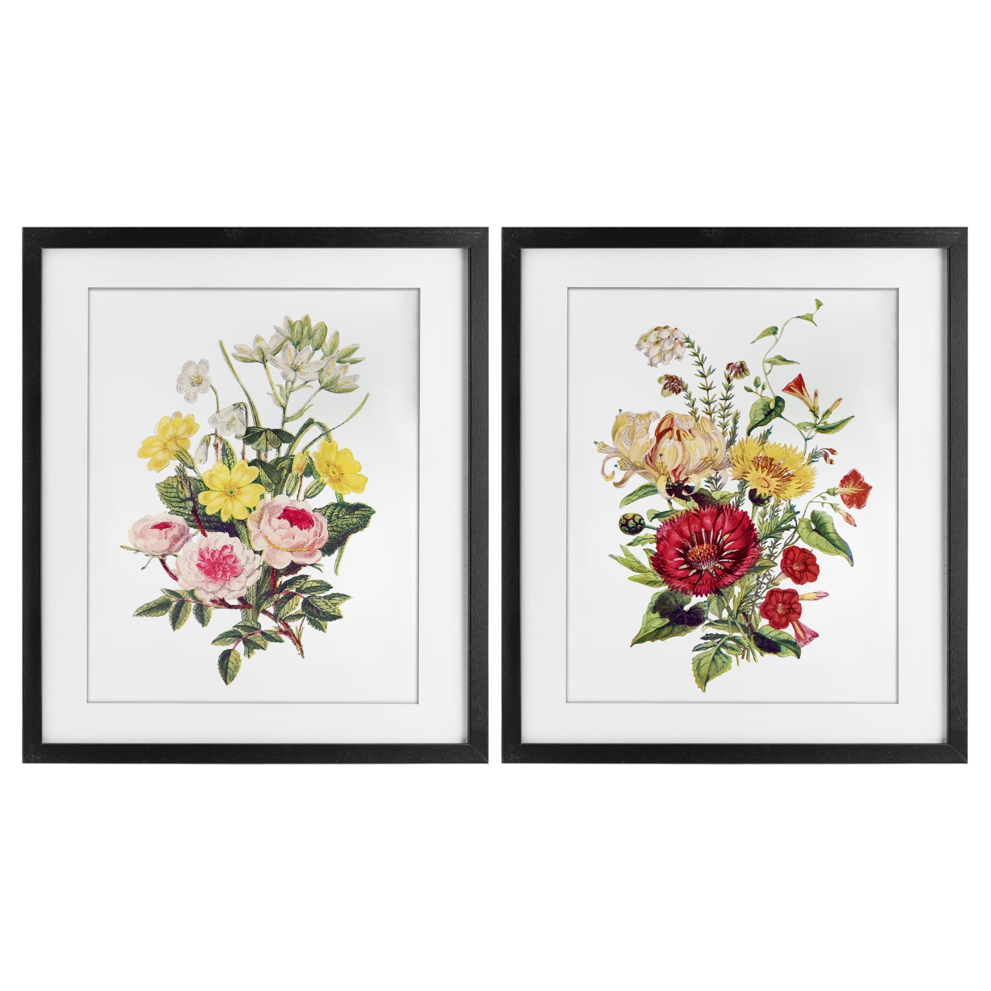 Mixed Flower Bushels 2 Piece Black Framed Print Under Glass Set, design by Lettered and Lined