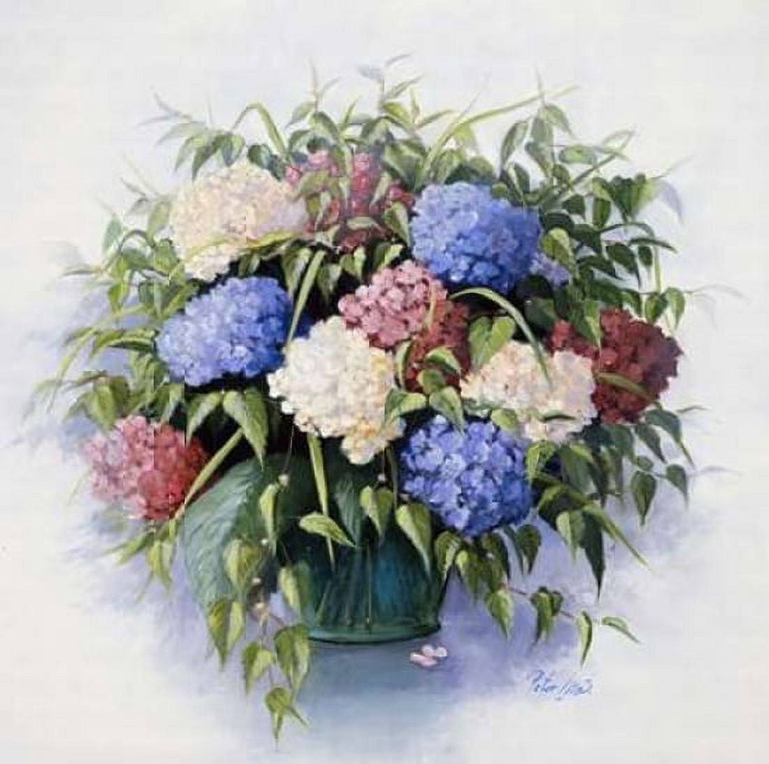 Mixed Hydrangia Canvas Art - Peter Motz (24 x 24)