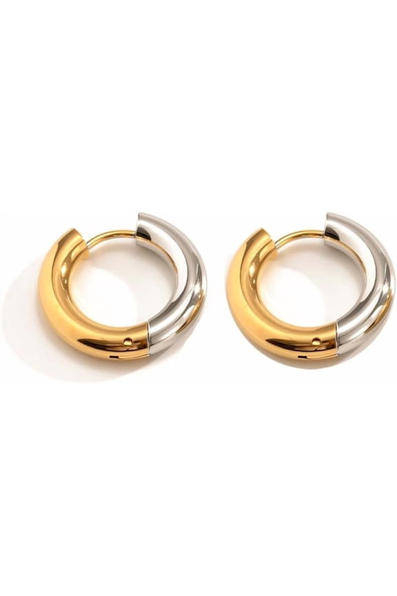 Mixed Metal Earrings for Women Two Tone Earrings Gold and Silver Hoop, Stainless Steel, Style R8505