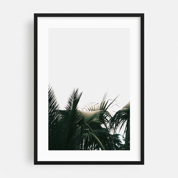 Mixed Palms - Exeter California Photography Palm Tree Tropical Minimalist Nature Botanical Beach House Coastal Black Framed Wall Art Print 24 x 36 inches