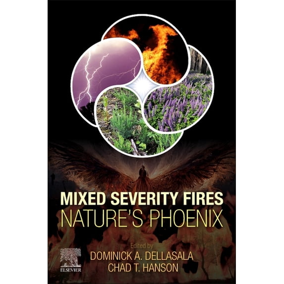 Mixed Severity Fires: Nature's Phoenix, (Paperback)