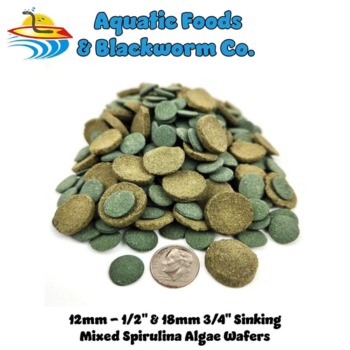Mixed Size Wafers Of Spirulina, Algae, Snails, Shrimp, Plecos, Catfish & More