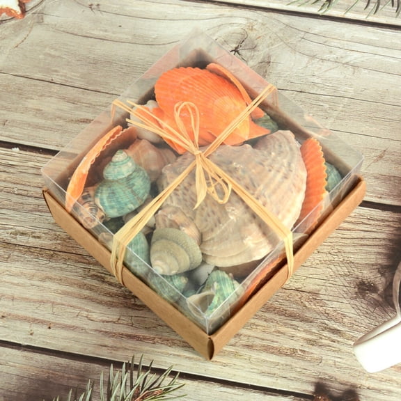 Mixed Stone and Sea Conch Gift Box 12x12cm Ocean Theme Decorative Shells Coastal Craft Accessories