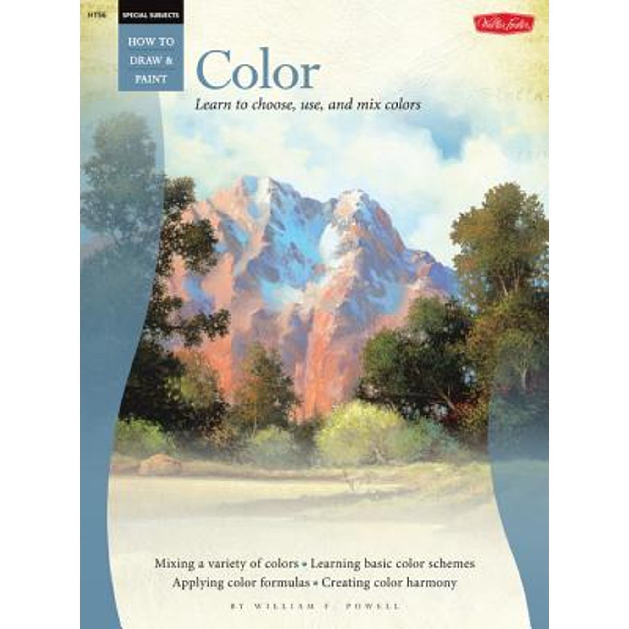 Pre-Owned Special Subjects: Color (Paperback) 156010046X 9781560100461 ...