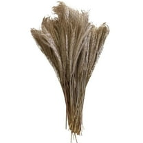 Miyuadkai Artificial Flowers Natural Dried Flowers Brown Bouquet Boho Decoration Home Bedroom Living Room50Cm