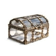 thumbnail image 1 of Miyuadkai Clear Plastic Pirate Treasure Chest, Plastic Transparent Storage Box Chest Keepsake Case Jewelry Organizer for Kids and Adults Halloween, Treasure Box*1, 1 of 8