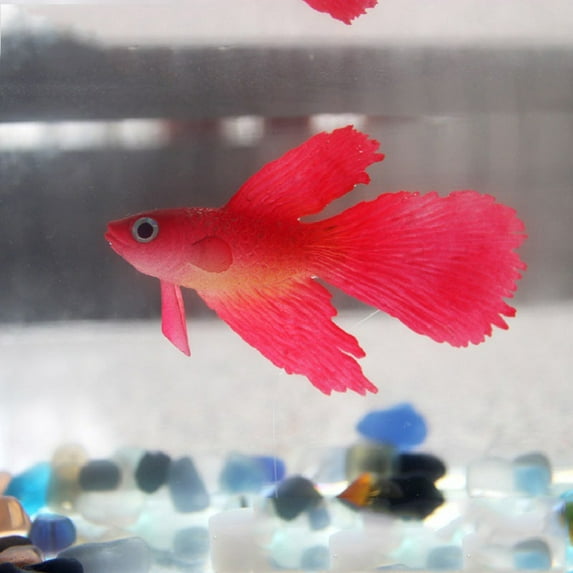 Miyuadkai Goldfish Clearance Landscaping Fish Tank Decor Glowing Animal Ornament Aquarium Effect Aquarium Accessories Room Decor C