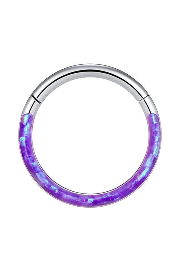 Nose Jewelry 16G Opal Septum Rings Hoop Nose Ring Lip Rings Stainless Steel Hinged Segment Ring Seamless Ring Cartilage Earrings Hoop Tragus Septum Piercing Jewerly Jewelry Silver4 A