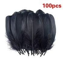 Miyuadkai School Supplies Clearance Diy Big Floating Feathers Feather Floating Hair Craft Decoration Wedding Feather Black