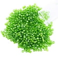 thumbnail image 1 of Miyuki Delica Seed Bead 11/0 Color Lined Leaf Green, 1 of 5