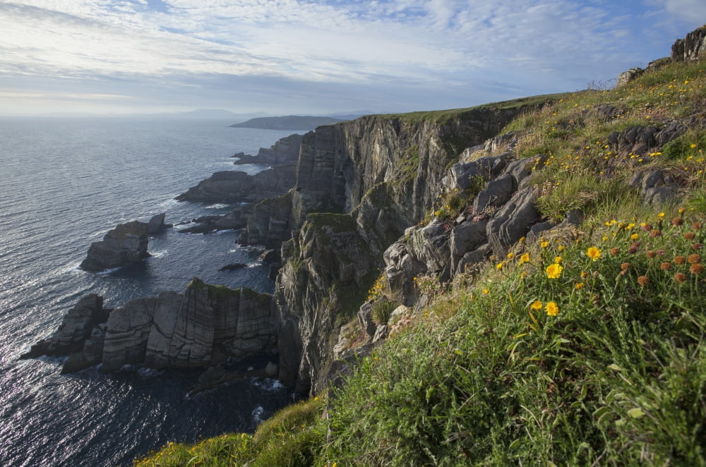 Mizen Head County Cork Ireland Canvas Art - Carl Bruemmer Design Pics (19 x 12)