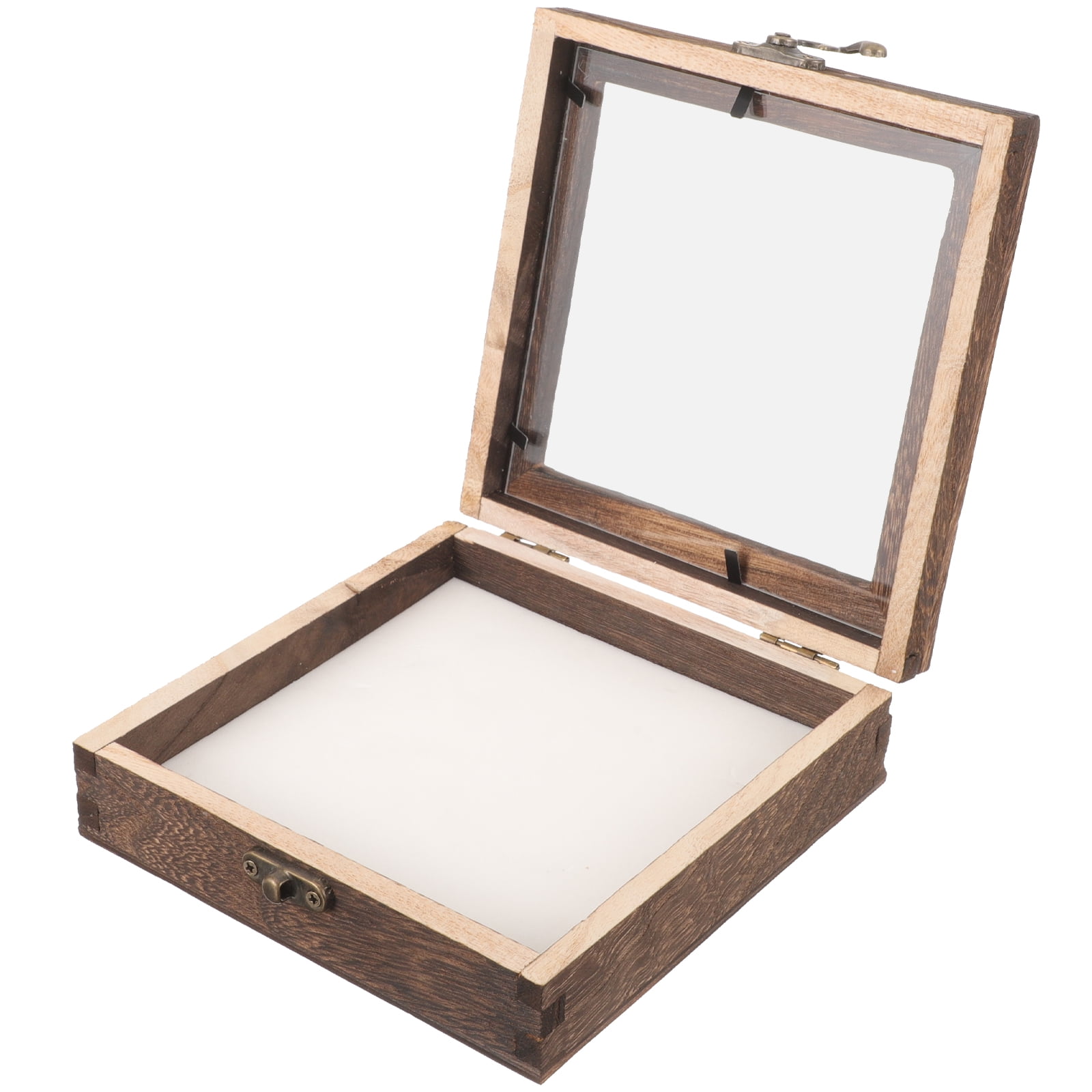 Mizh 1 Set of Insect Display Case Durable Insect Specimen Box Wood ...