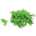 thumbnail image 1 of Mizuna Mustard Green Seeds - 100 Seed Pack - a Mustard Green with Distinctive feathery Leaves and a mild, Sweet Flavor. - Country Creek LLC, 1 of 1