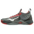 Mizuno Wave Momentum Men's Volleyball Shoe
