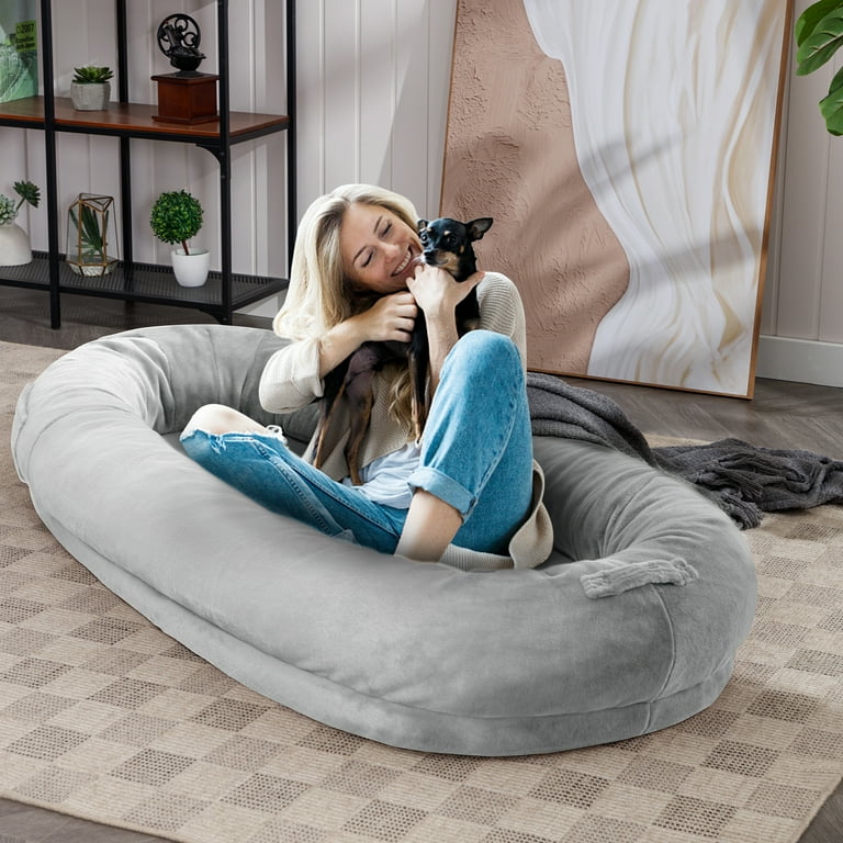 Off the floor dog beds 2025