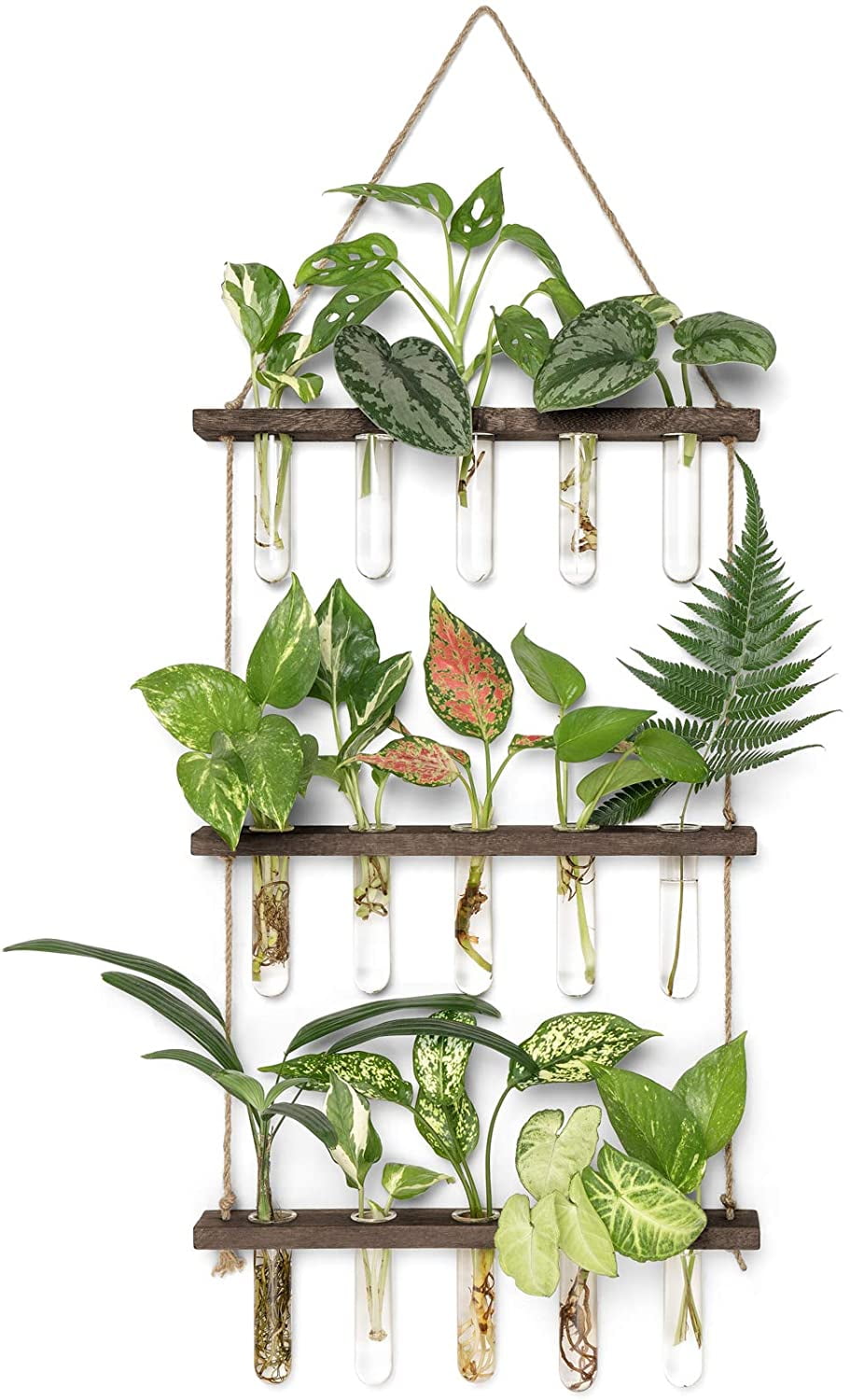 Mkono 3 Tier Plant Propagation Indoor Wall Hanging Planter Flower Vase Glass Holder