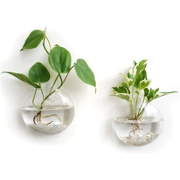 Mkono Wall Hanging Planter Propagation Station Glass Flower Vase for Hydroponics Plants, Oblate Set of 2