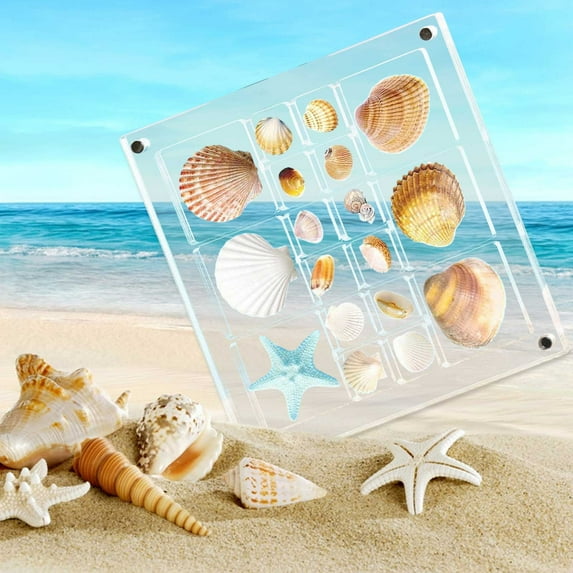 Mlkoz Storage Trunks & Bag Clearance, Acrylic Magnetic Sea Display Box 5.6x5.6in Large Size Seashell Storage Box Decorative Box For Seashell Trinket Small Organizers Display, Women Gifts