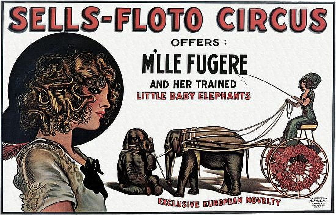 Mlle Fugere Trained Baby Elephants Circus Canvas Art - (24 x 36)