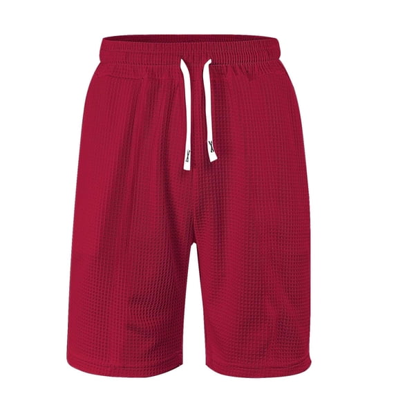 Mlzmgr Mens Shorts Knit Elastic Waisted Drawstring Shorts Causal Daily Wear Shorts Solid Color