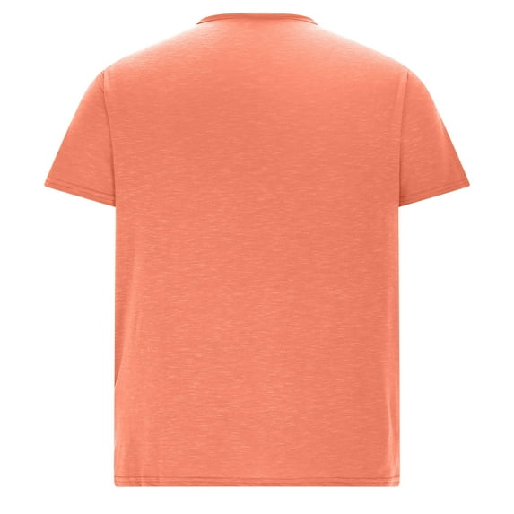 Mlzmgr Tee Shirts for Men Short Sleeve V Neck S-3XL Stretchy Mens Tops Basic Casual Athletic Mens Shirts