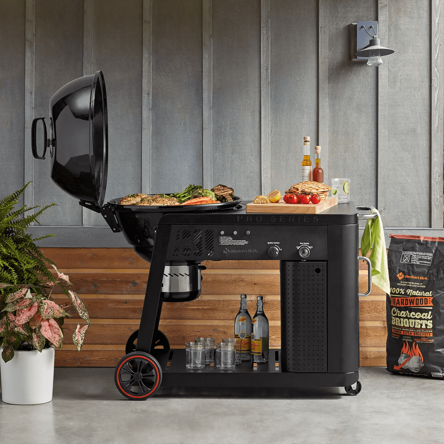 Pro Series C35001-1 Backyard BBQ Gas Assist Charcoal Grill 