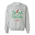 thumbnail image 1 of MmF - Mens Sweatshirts and Hoodies - DEAR SANTA I CAN EXPLAIN, 1 of 3