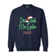 thumbnail image 1 of MmF - Mens Sweatshirts and Hoodies - DEAR SANTA I CAN EXPLAIN, 1 of 5