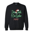 thumbnail image 1 of MmF - Women Sweatshirts and Hoodies - DEAR SANTA I CAN EXPLAIN, 1 of 5