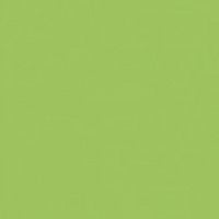 MmF - Women's T-Shirt Short Sleeve, up to Women Size 3XL - Detroit