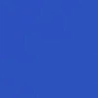 MmF - Women's T-Shirt Short Sleeve, up to Women Size 3XL - Detroit