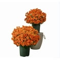 thumbnail image 1 of Mmeneyy Faux Mums, Mums, Artificial Outdoor SunsetMums Flowers, Artificial Sunsetmums- UV Resistant, Waterproof, Windproof, Fake Fall Flower Daisy with Eucalyptus, 1 of 6