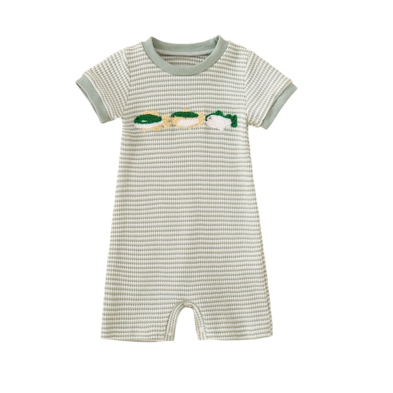Mnyotv Baby Boys Summer Clothes Breathable Short Sleeve Bodysuits Cute Outfits for Infants Size 12-18 Months