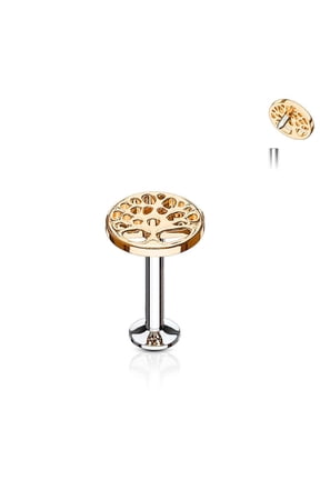16G Tree Life Labret Piercing Surgical Steel Internally Threaded Monroe Lip Ring Helix Earring (8mm (5/16") Rose Gold-Tone)
