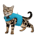 thumbnail image 1 of MoNiBloom Cat Harness for Walking, Escape Proof Soft Adjustable Vest Harnesses for Pet Cats, Easy Control Mesh Breathable, Sky Blue S, 1 of 8