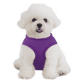 thumbnail image 1 of MoNiBloom No Pull Dog Harness, Pet Vest Adjustable Mesh Breathable Harnesses for Dogs Walking, Purple XS, 1 of 8