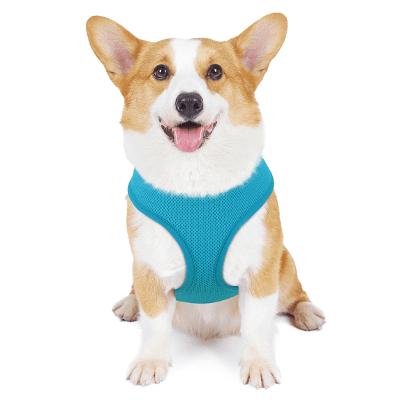 MoNiBloom No Pull Dog Harness, Pet Vest Adjustable Mesh Breathable Harnesses for Dogs Walking, Sky Blue M
