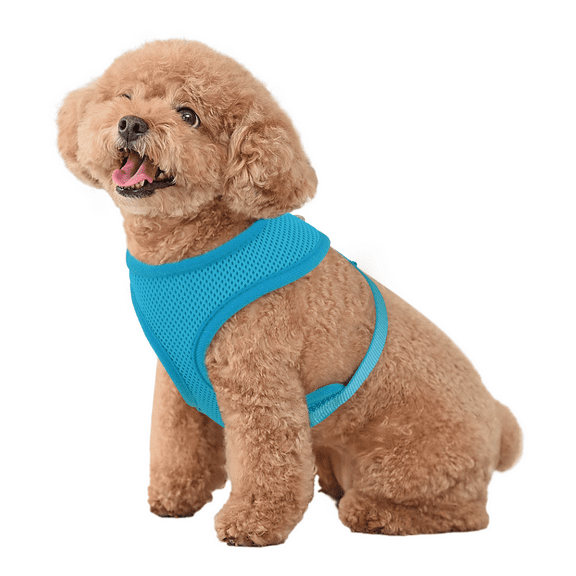 MoNiBloom No Pull Dog Harness, Pet Vest Adjustable Mesh Breathable Harnesses for Dogs Walking, Sky Blue S