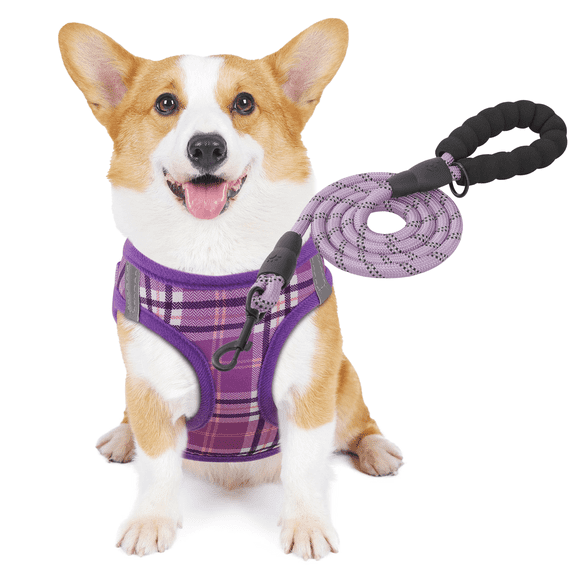 MoNiBloom No Pull Dog Harness with Leash, No Choke Reflective Pet Vest Adjustable Breathable Mesh Harnesses Dogs Walking, Purple M